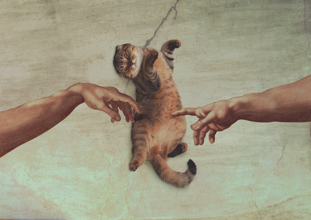 Artem Pozdniakov Ilustrace Touch of the Kitty, Artem Pozdniakov, (40 x 30 cm)
