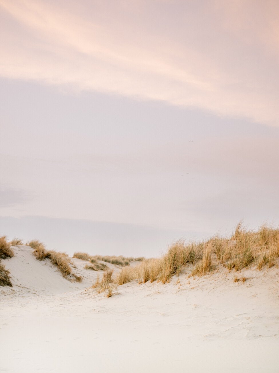 Raisa Zwart Umělecká fotografie Ameland Dunes 3, Raisa Zwart, (30 x 40 cm)