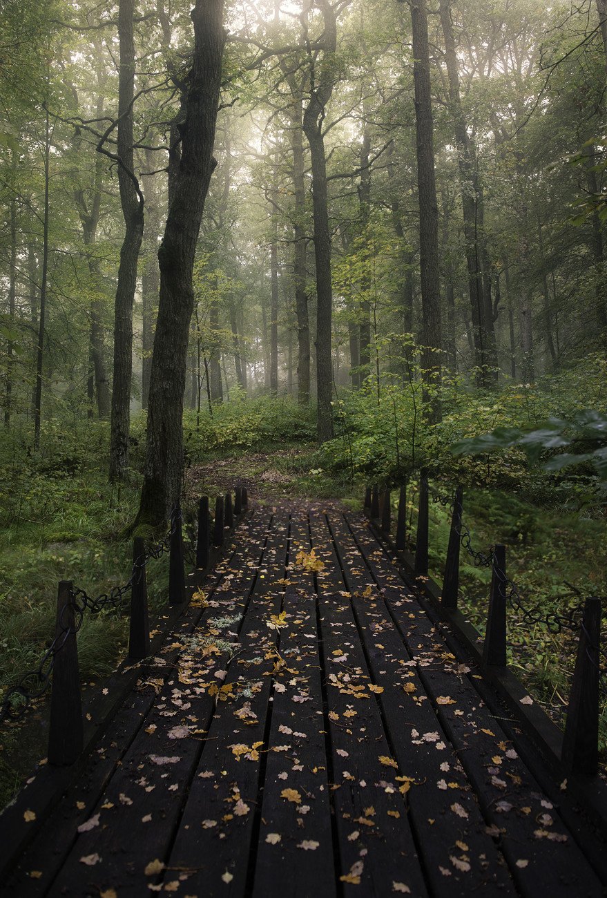 Christian Lindsten Umělecká fotografie Misty morning, Christian Lindsten, (26.7 x 40 cm)