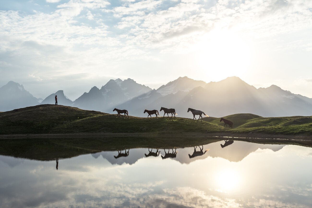 Witold Ziomek Umělecká fotografie Horses, Witold Ziomek, (40 x 26.7 cm)