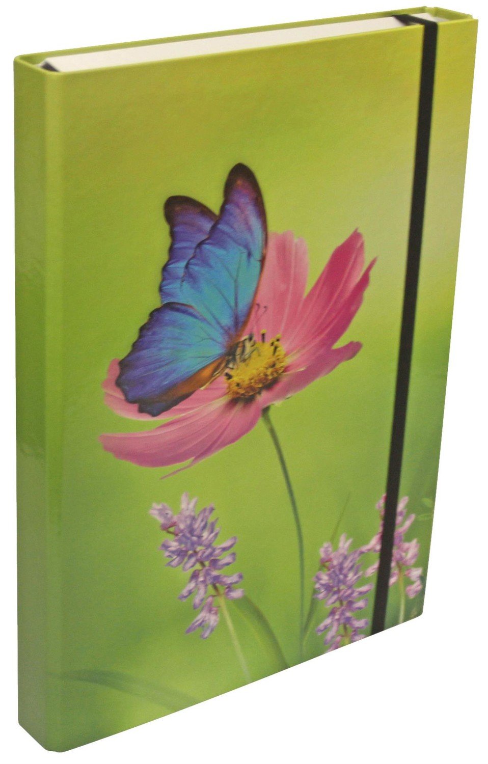 Box na spisy - A4, 4 cm, motýl