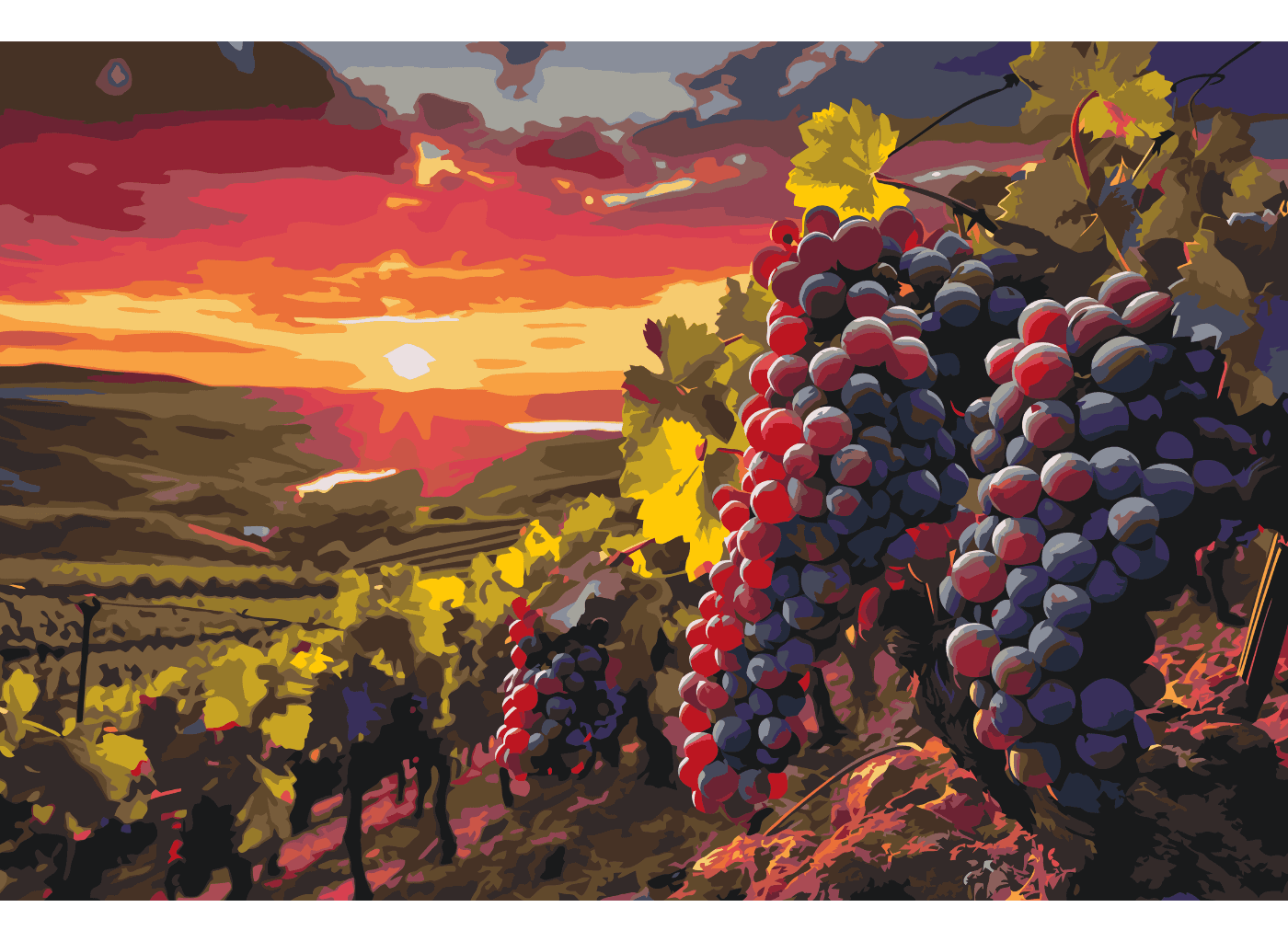 MALUJEŠ Malování podle čísel - VINICE Rozměr: 40x60 cm, Rámování: bez rámu a bez vypnutí plátna