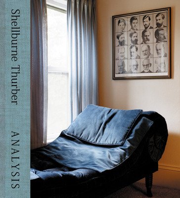 Analysis: Psychoanalytic Interiors (Thurber Shellburne)(Pevná vazba)