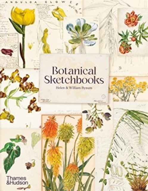 Botanical Sketchbooks (Bynum Helen)(Paperback / softback)