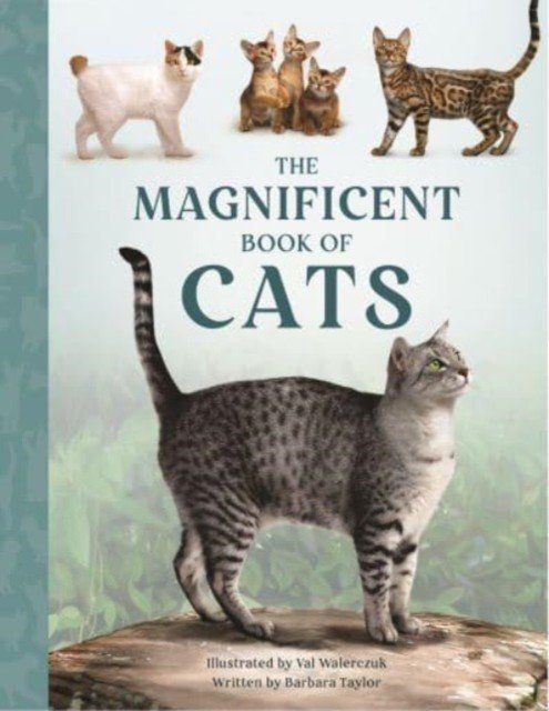 Magnificent Book of Cats (Taylor Barbara)(Pevná vazba)