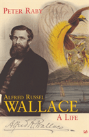 Alfred Russel Wallace (Raby Peter)(Paperback / softback)