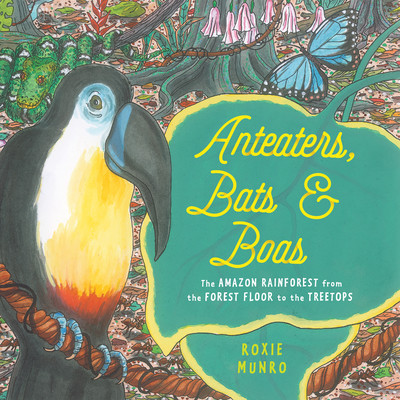 Anteaters, Bats & Boas: The Amazon Rainforest from the Forest Floor to the Treetops (Munro Roxie)(Paperback)