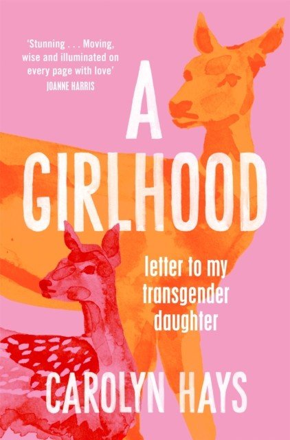 Letter to My Transgender Daughter (Hays Carolyn)(Paperback / softback)
