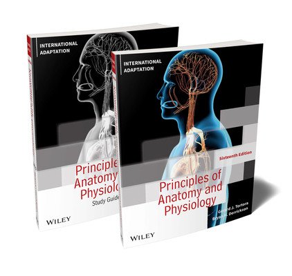 Principles of Anatomy and Physiology (Tortora Gerard J. (Bergen Community College))(Paperback / softback)