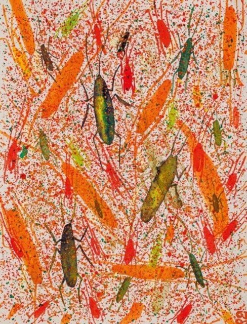 Rare Gift of the Tropics(Paperback / softback)