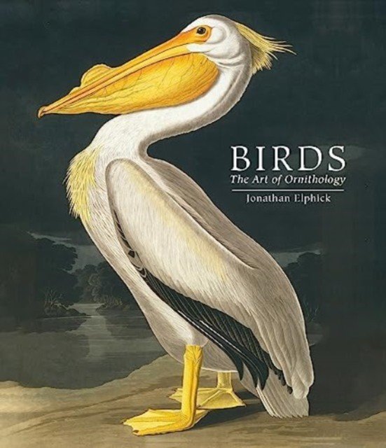 Birds - The Art of Ornithology (Pocket edition) (Elphick Jonathan)(Pevná vazba)