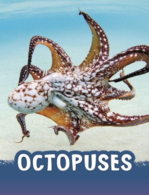Octopuses (Jaycox Jaclyn)(Paperback / softback)