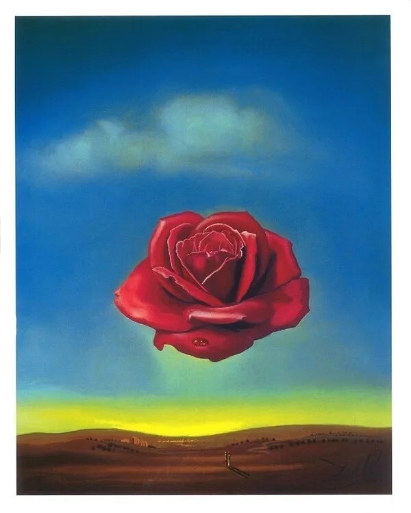 MIGNECO&SMITH Umělecký tisk Meditující růže, 1958, Salvador Dalí, (60 x 80 cm)