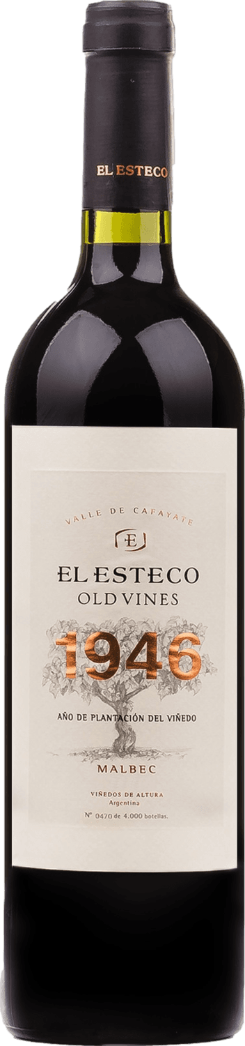 El Esteco Old Vines Malbec 2020