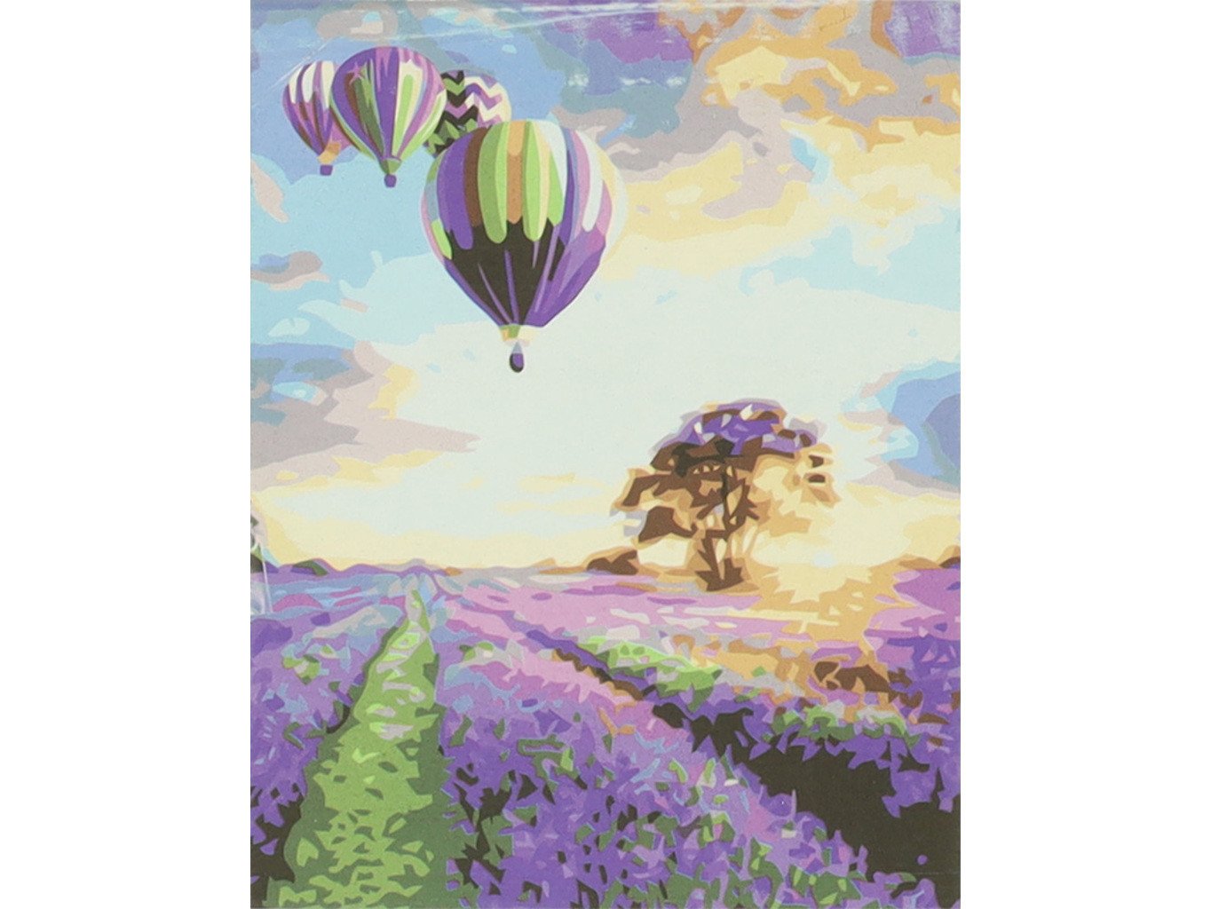 Malování podle čísel - Levandule - 50x40 cm