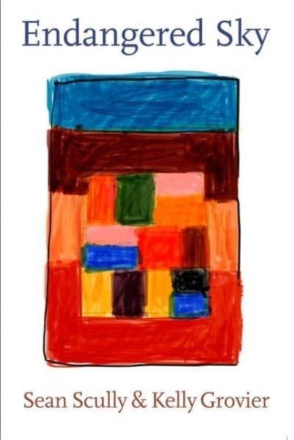 Sean Scully & Kelly Grovier: Endangered Sky (Scully Sean)(Pevná vazba)