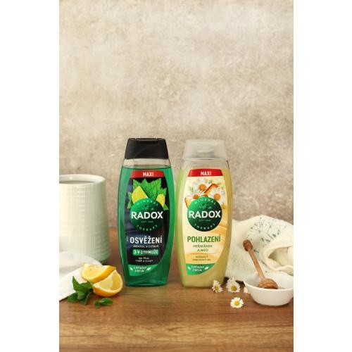 Radox Refreshment Menthol And Citrus 3-in-1 Shower Gel 450 ml osvěžující sprchový gel pro muže