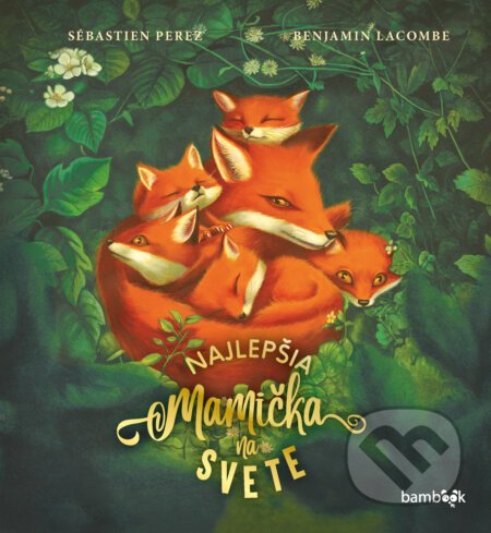 Najlepšia mamička na svete - Sébastien Perez, Benjamin Lacombe