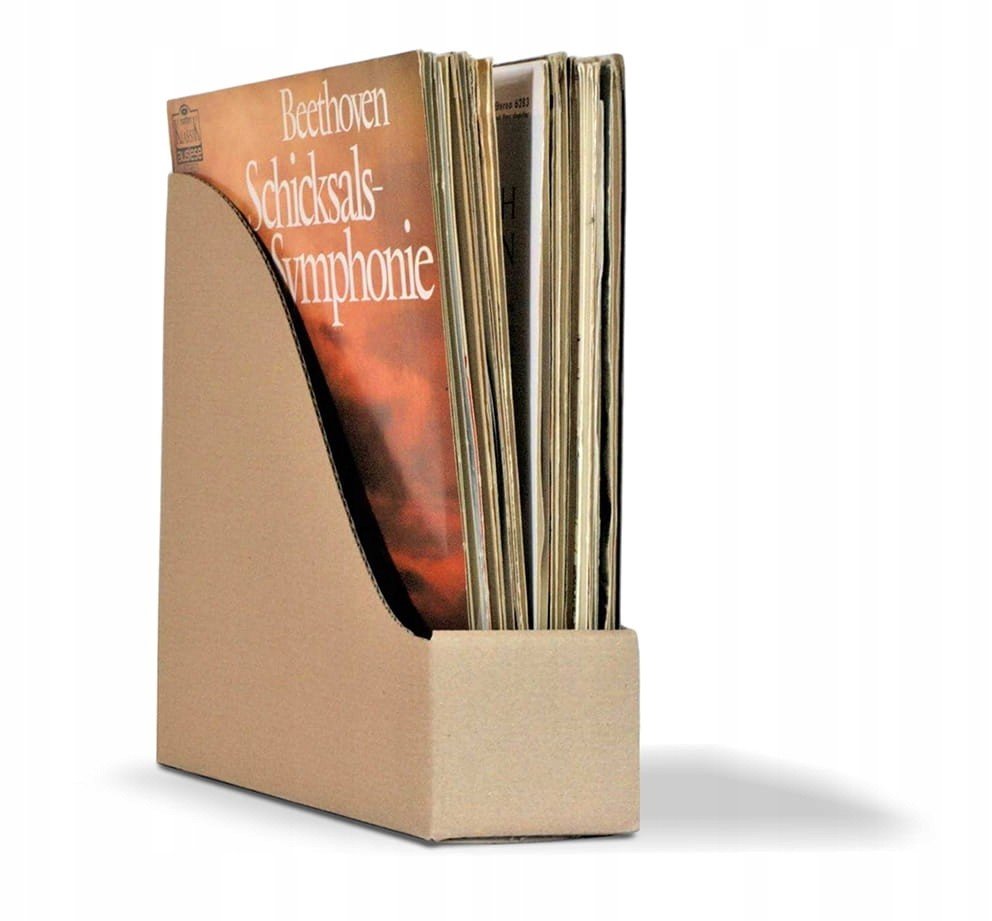 Pořadatrory na vinylové desky 10ks Kallax