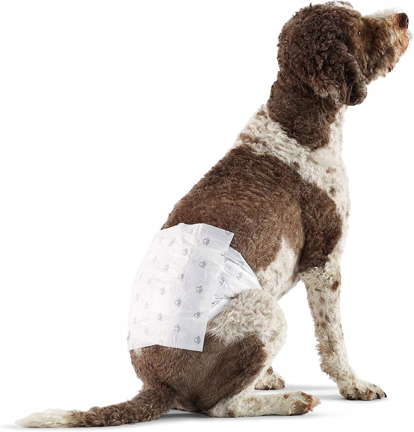 AmazonBasic Ochranné kalhotky pro psa 30 ks rozm.L