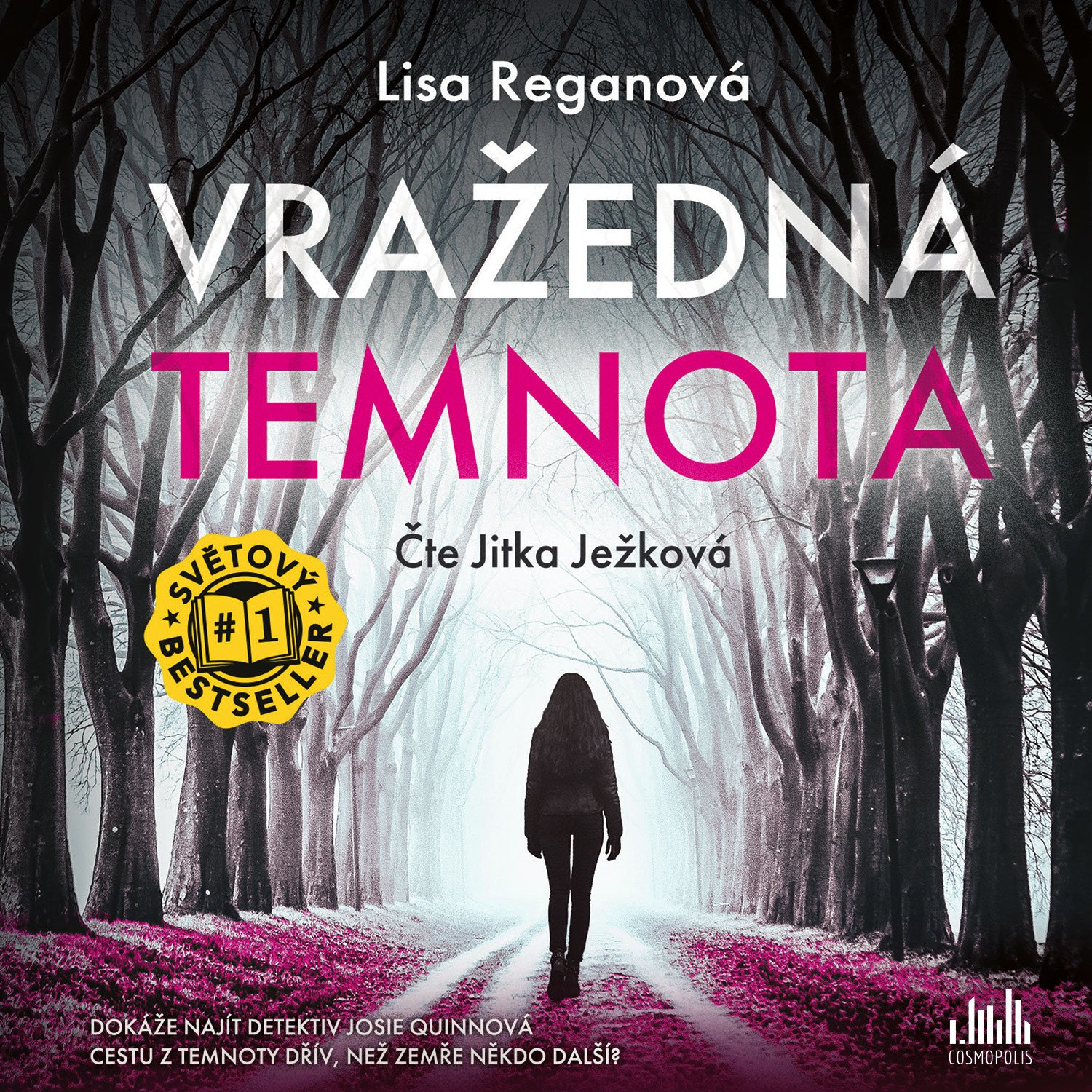 Vražedná temnota (AUDIOKNIHA CD), Reganová Lisa