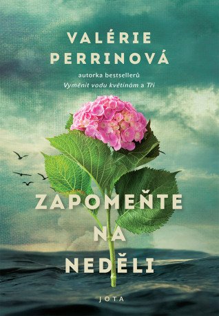 Zapomeňte na neděli - Valérie Perrinová - e-kniha