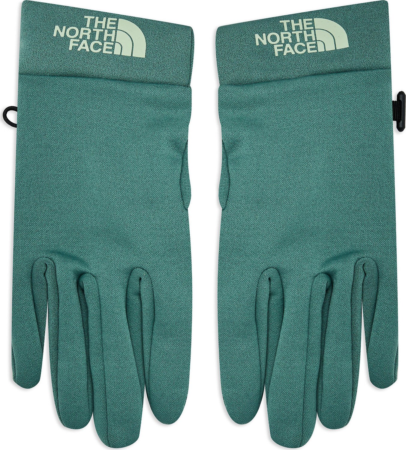 Pánské rukavice The North Face Tnf Rino GloveNF0A55KZI0F1 Dark Sage