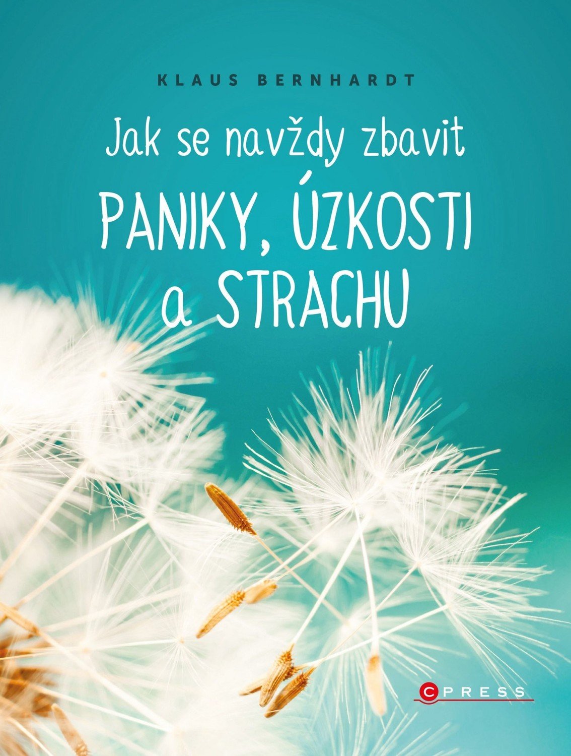 Jak se navždy zbavit paniky, úzkosti a strachu, 1.  vydání - Klaus Bernhardt