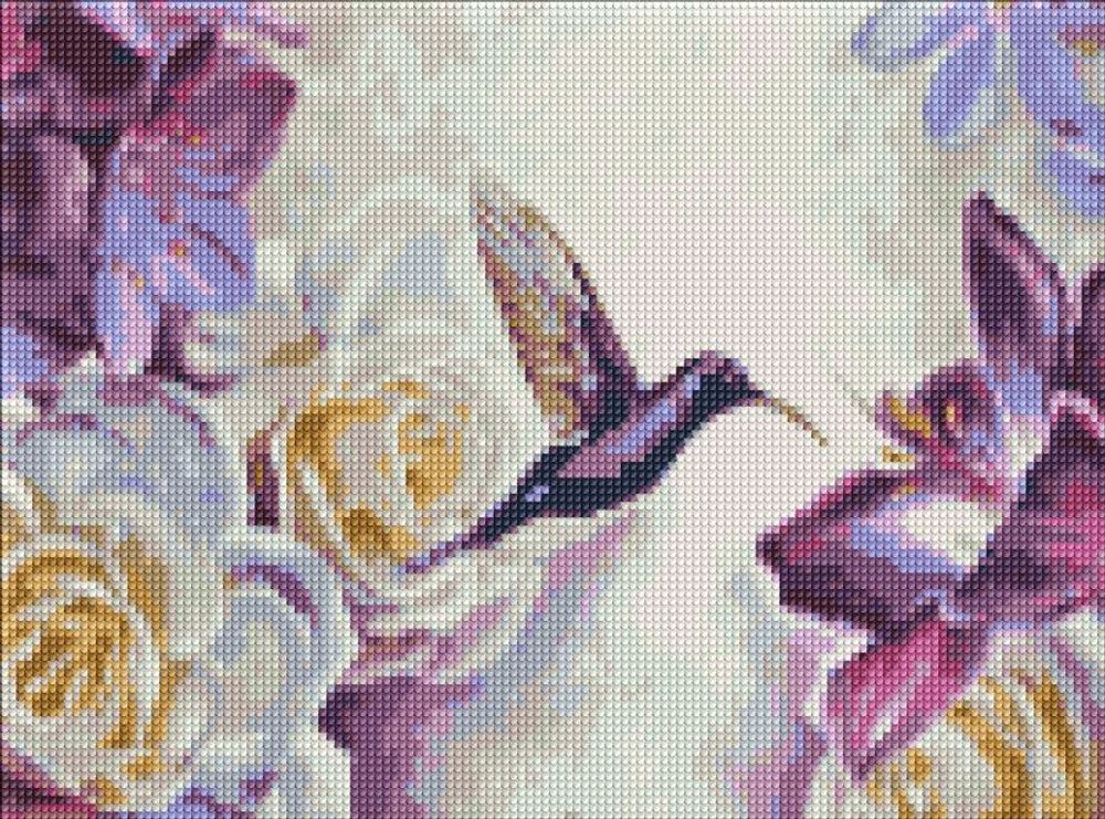 Ideyka Diamantové malování obraz kolibříka 30х40cm - 1 ks