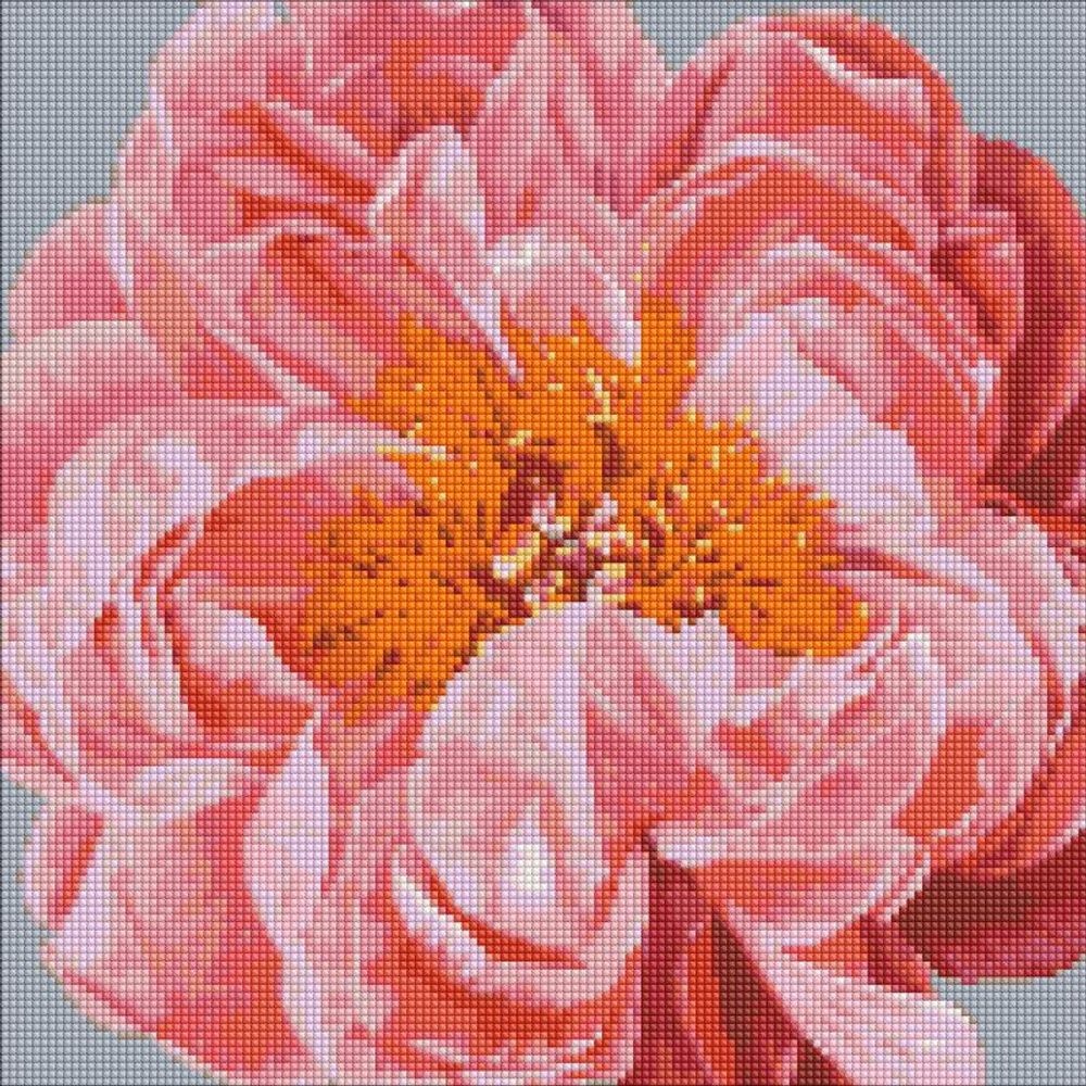 Ideyka Diamantové malování obraz s růžovým květem 40х40cm - 1 ks