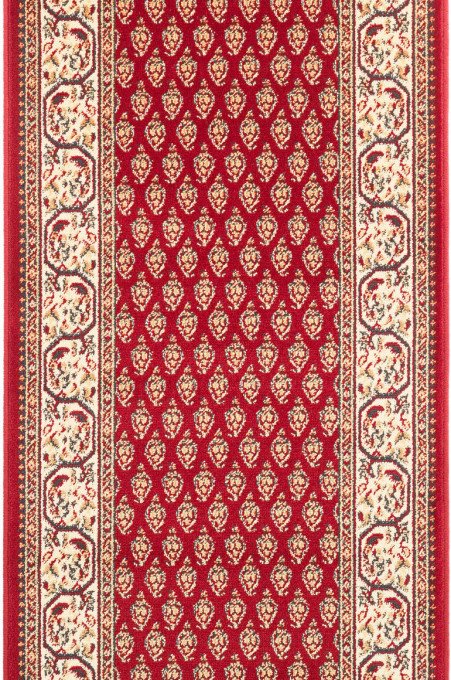 Běhoun Agnella Optimal Oset bordový