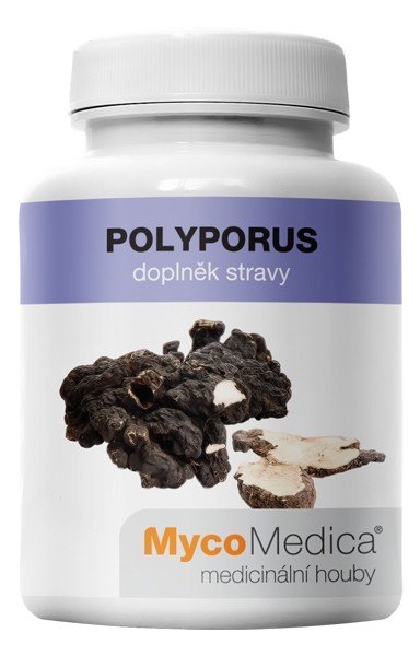 MycoMedica Polyporus 90 cps. - MycoMedica