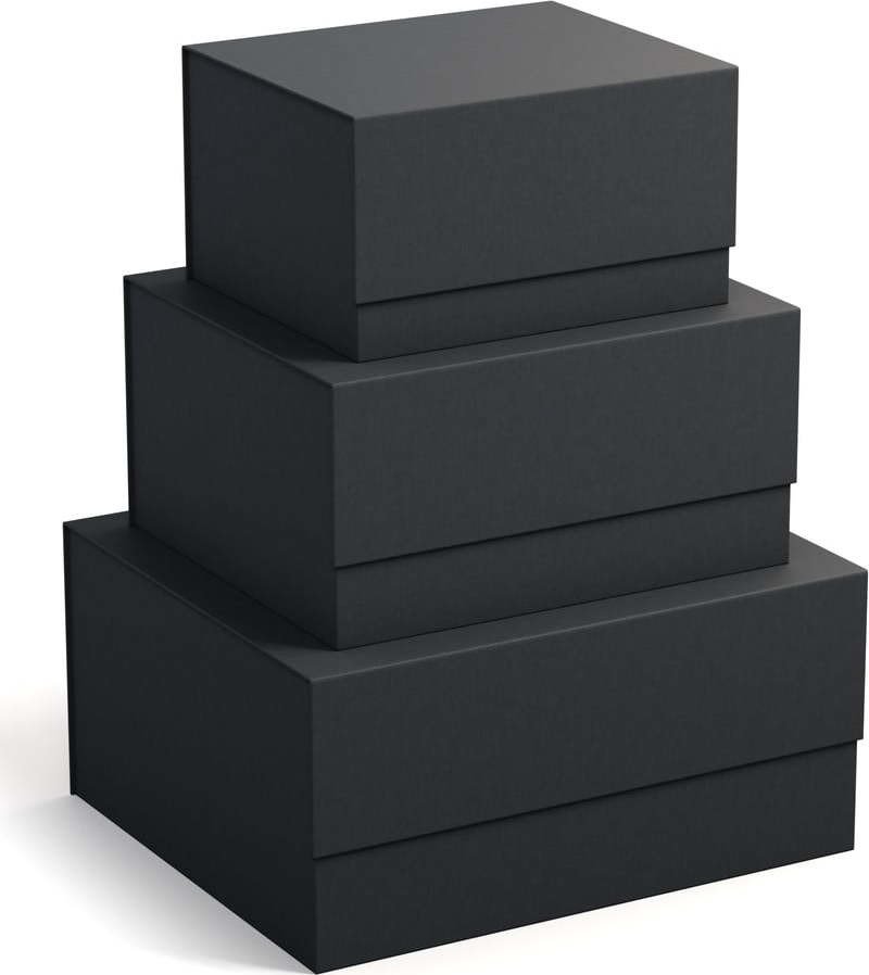 Kartonové úložné boxy v sadě 3 ks s víkem Ilse – Bigso Box of Sweden