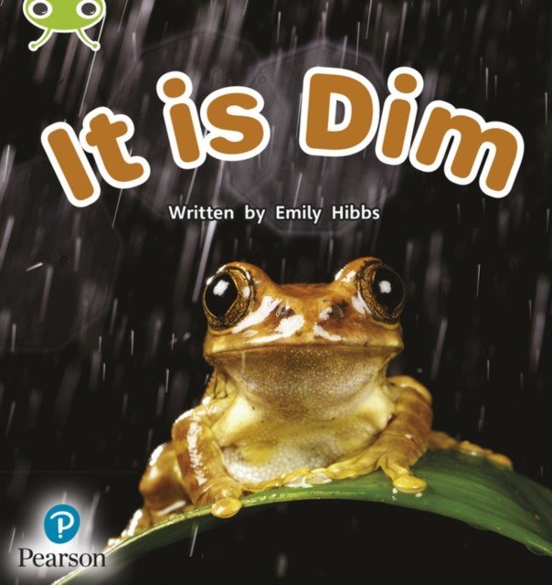 Bug Club Phonics Non-Fiction Early Years and Reception Phase 2 Unit 2 It is Dim (Hibbs Emily)(Paperback / softback)