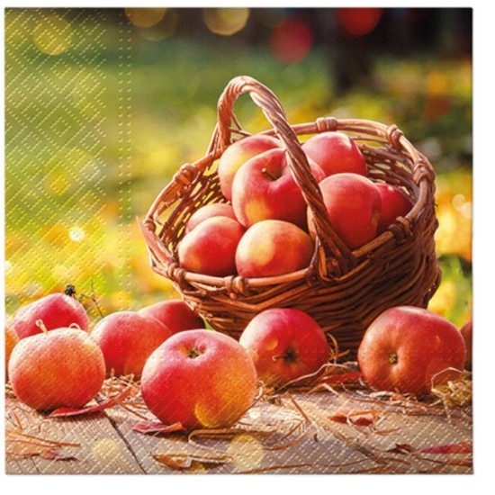 PAW Ubrousky PAW L - Autumn apples - SDL237000