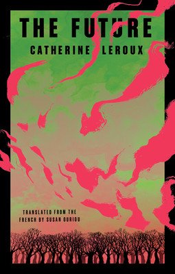 The Future (LeRoux Catherine)(Paperback)