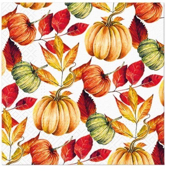 PAW Ubrousky PAW L - Pumpkin Pattern - SDL237200