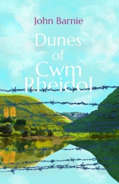 Dunes of Cwm Rheidol (Barnie John)(Paperback)