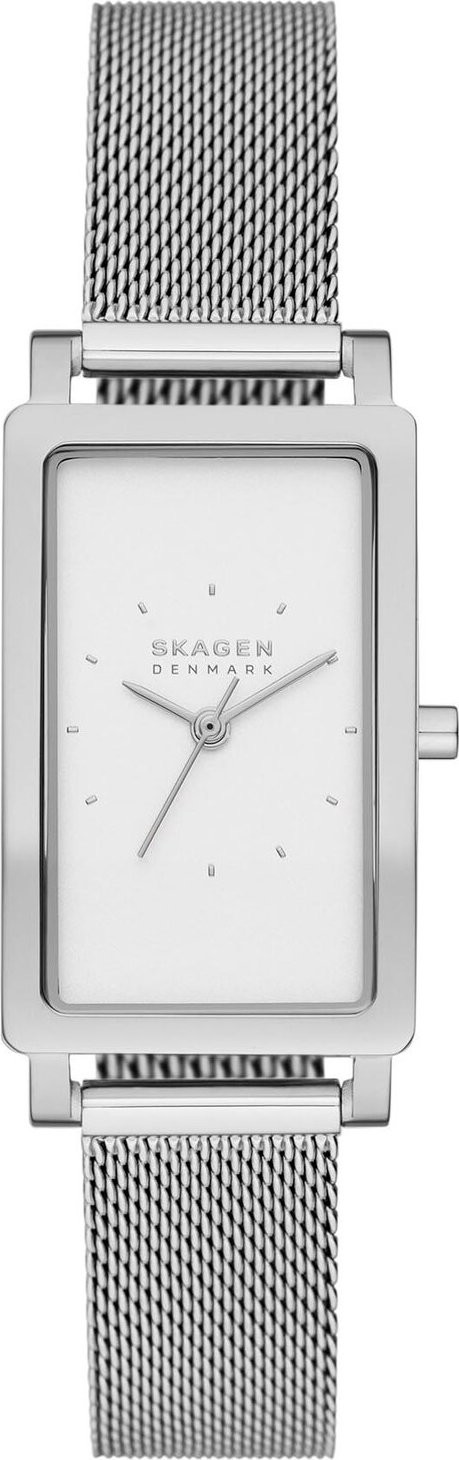 Hodinky Skagen Hagen SKW3096 Silver/Silver