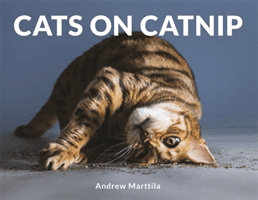 Cats on Catnip (Marttila Andrew)(Pevná vazba)