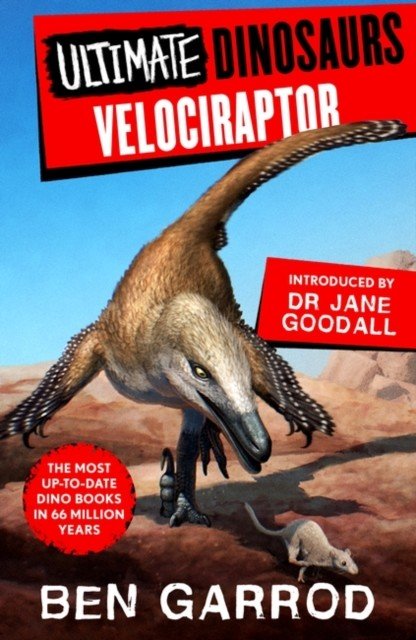 Velociraptor (Garrod Ben)(Paperback / softback)