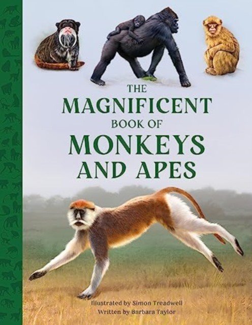 Magnificent Book of Monkeys and Apes (Taylor Barbara)(Pevná vazba)