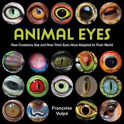 Animal Eyes: How Creatures See and How Their Eyes Have Adapted to Their World (Vulp Franoise)(Paperback)