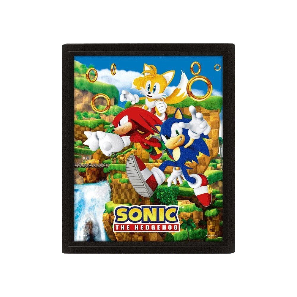 3D obraz Sonic (Catching Rings)