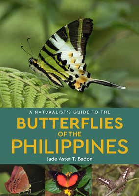 A Naturalist's Guide to the Butterflies of the Philippines (Badon Jade Aster T.)(Paperback)