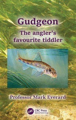 Gudgeon: The Angler's Favourite Tiddler (Everard Mark)(Paperback)