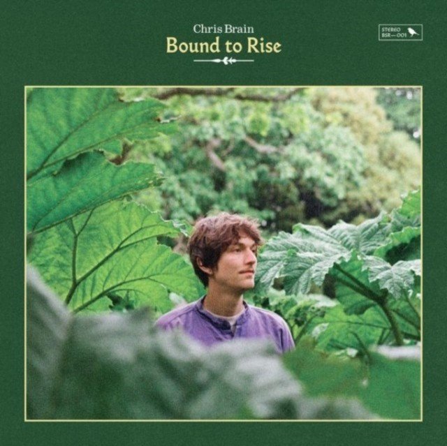 Bound to rise (Chris Brain) (CD / Album)