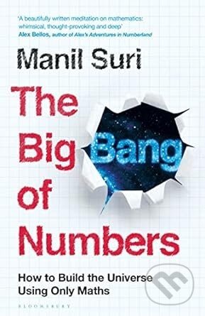 The Big Bang of Numbers - Manil Suri