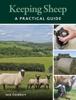 Keeping Sheep (Cockburn Jack)(Paperback)