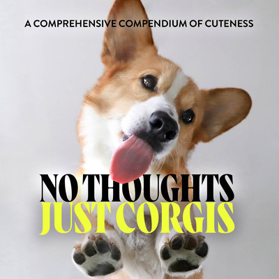 No Thoughts Just Corgis: A Comprehensive Compendium of Cuteness (Union Square & Co)(Pevná vazba)